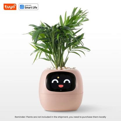 PlantBuddy™ | Automatische, interaktive Pflanzenpflege
