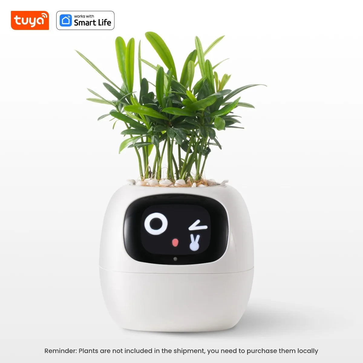 PlantBuddy™ | Automatische, interaktive Pflanzenpflege