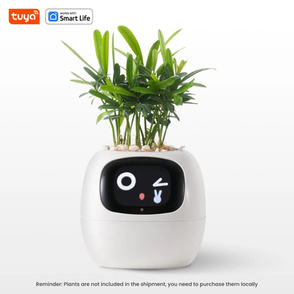 PlantBuddy™ | Automatische, interaktive Pflanzenpflege