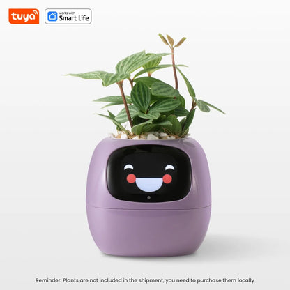 PlantBuddy™ | Automatische, interaktive Pflanzenpflege