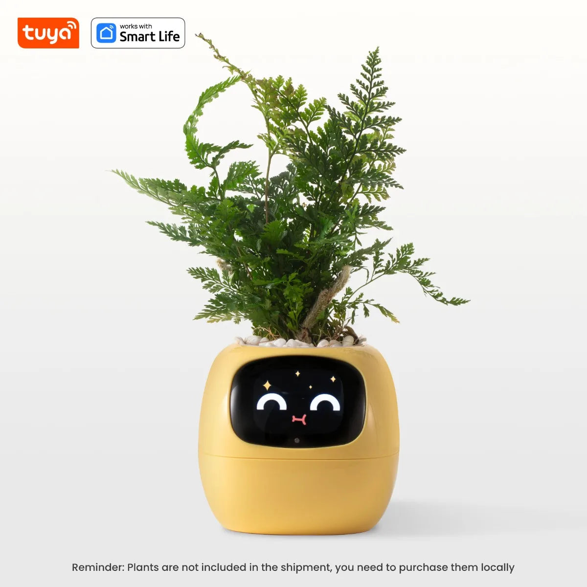 PlantBuddy™ | Automatische, interaktive Pflanzenpflege
