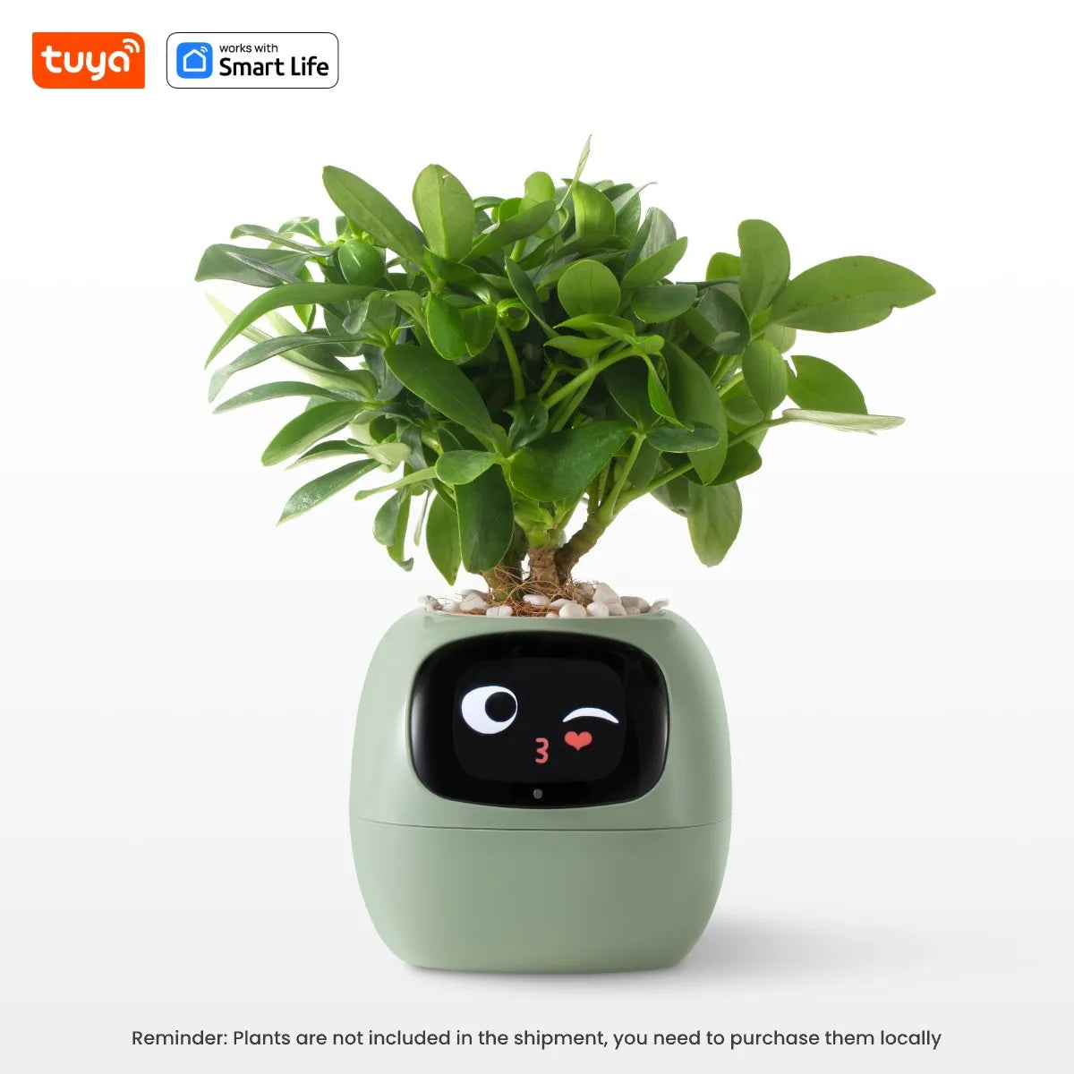 PlantBuddy™ | Automatische, interaktive Pflanzenpflege