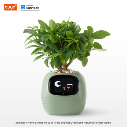 PlantBuddy™ | Automatische, interaktive Pflanzenpflege